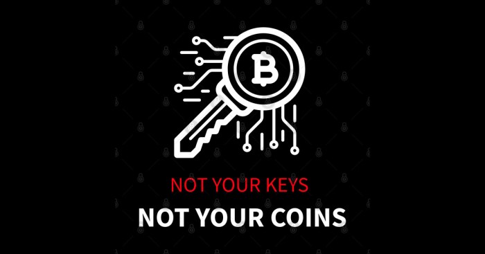 Not your keys, not your coins!!! : r/dogecoin
