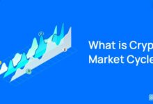 Crypto Market Cycles Explained: How to Thrive in Every Phase