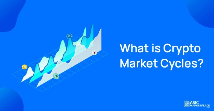 Crypto Market Cycles Explained: How to Thrive in Every Phase