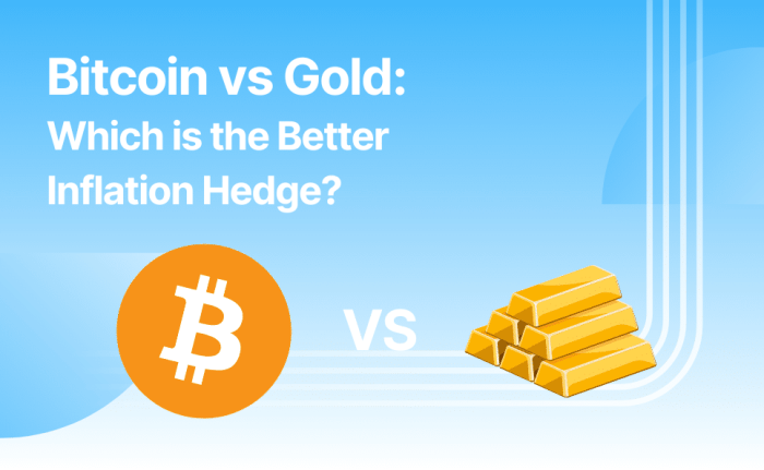 Gold vs Bitcoin: Ultimate Investment Battle | BTC Wins