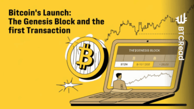 The history of Bitcoin: From Satoshi Nakamoto to today - BTCRead