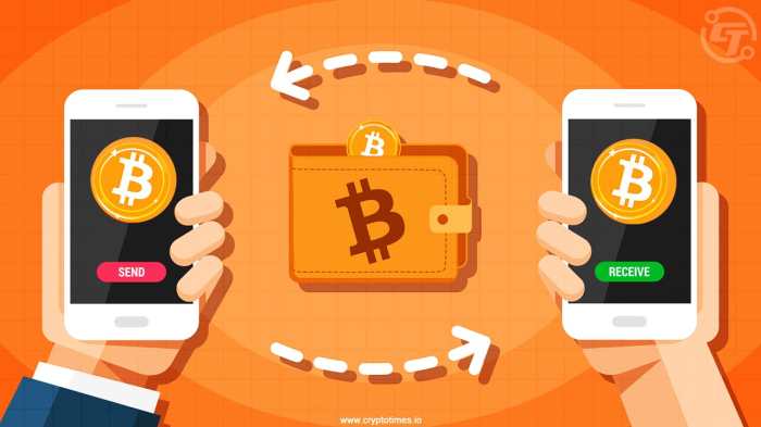 How to send and receive Bitcoin and other cryptocurrencies - Revolt Finance