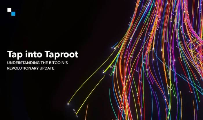 Understanding Bitcoin Taproot: The Ultimate Guide