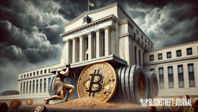 How Bitcoin protects against inflation