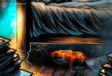 What happens to lost Bitcoin?