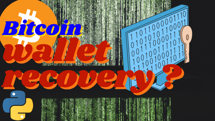 How To Recover My Lost Bitcoin Wallet? - 9 Proven Methods for Crypto ...