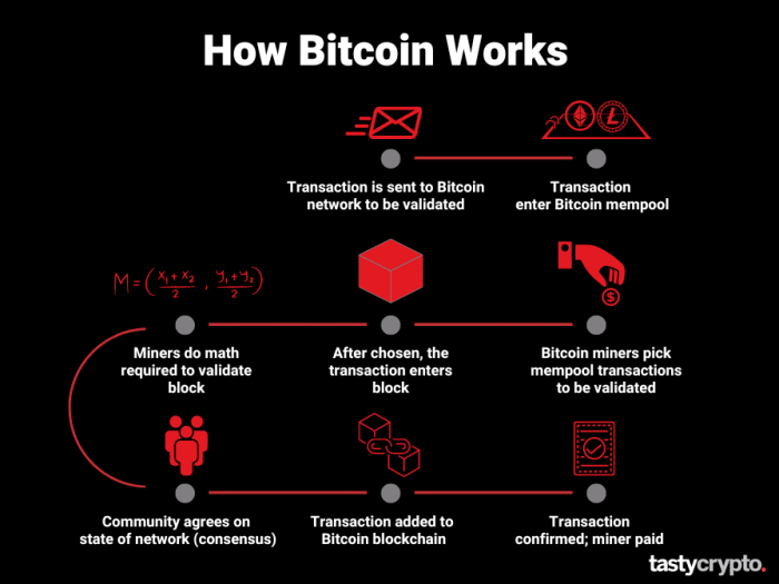 What Is Bitcoin And How Does it Work? The Ultimate BTC Guide - tastycrypto