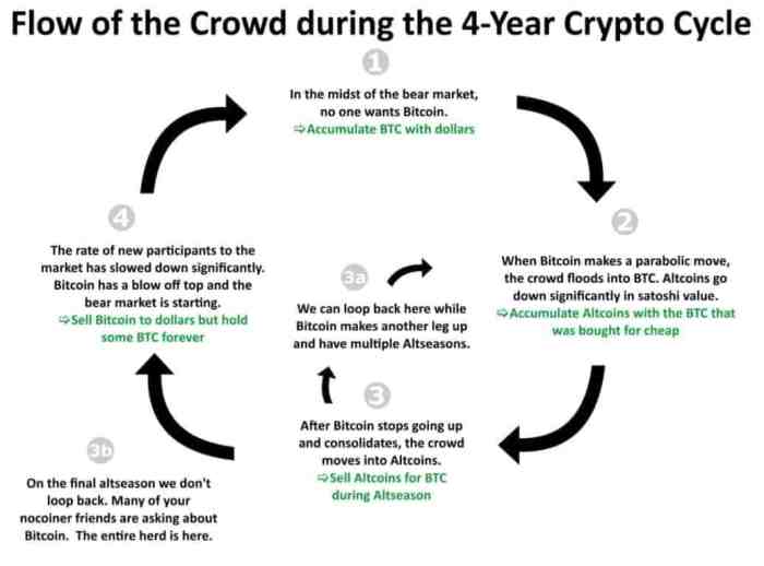 Cracking Crypto Cycles: 4 Crypto Phases to Market Mastery